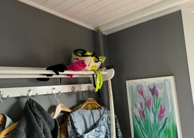 Skydelåger i entre
